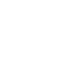Logo Kingston